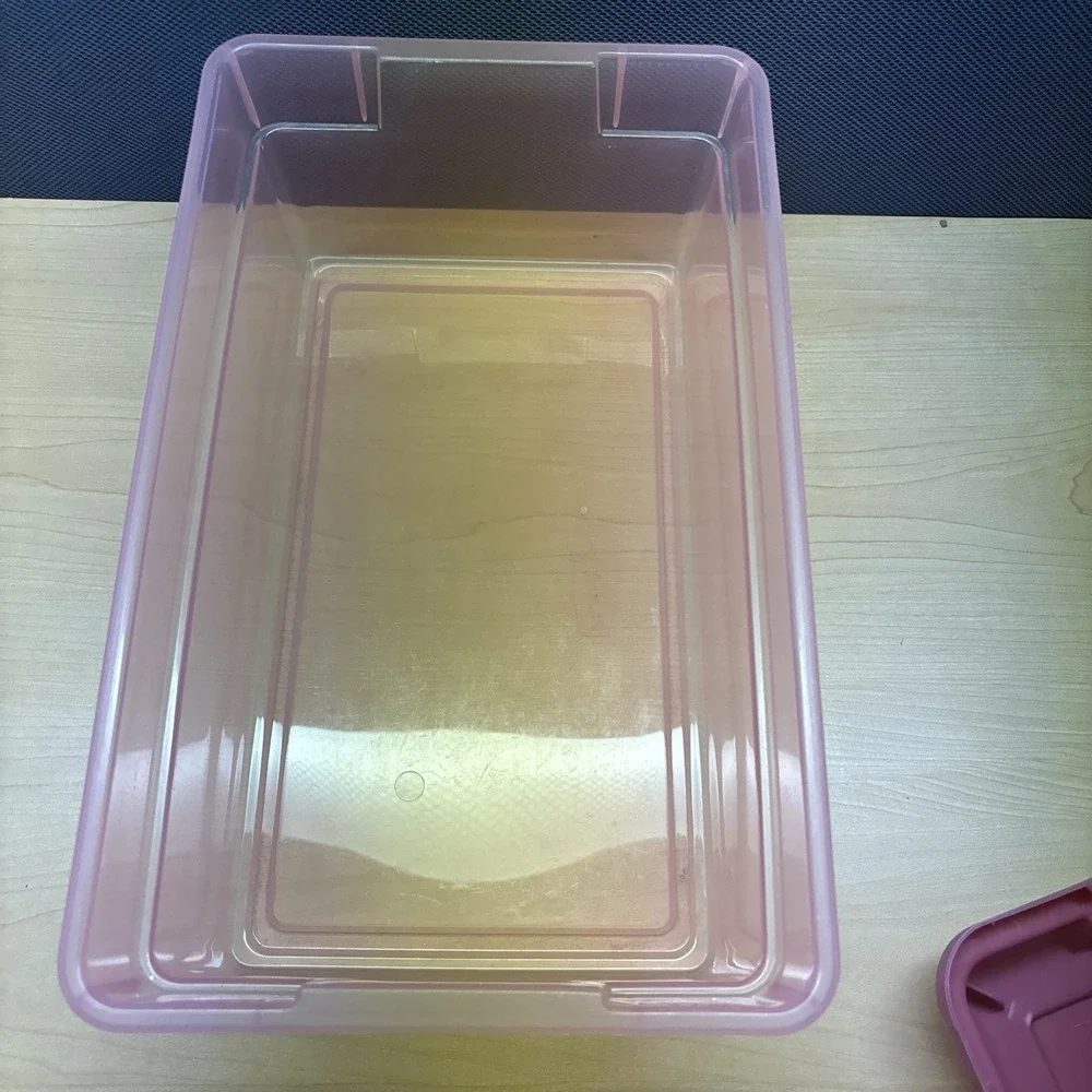 Rubbermaid Vintage Pink Clear Leaves Snap Storage Container Box Rectangle